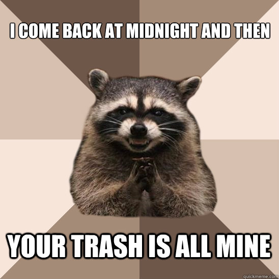 I come back at midnight and then  your trash is all mine - I come back at midnight and then  your trash is all mine  Evil Plotting Raccoon