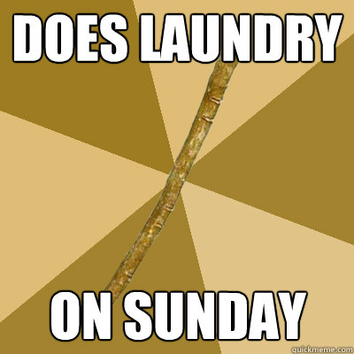 does laundry on sunday - does laundry on sunday  Boring Stick