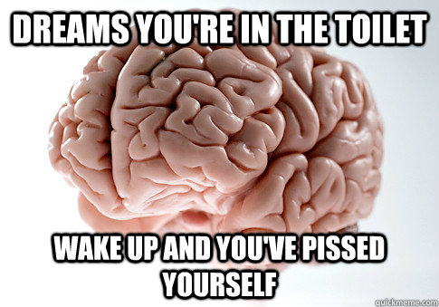 Dreams you're in the toilet Wake up and you've pissed yourself  Scumbag Brain