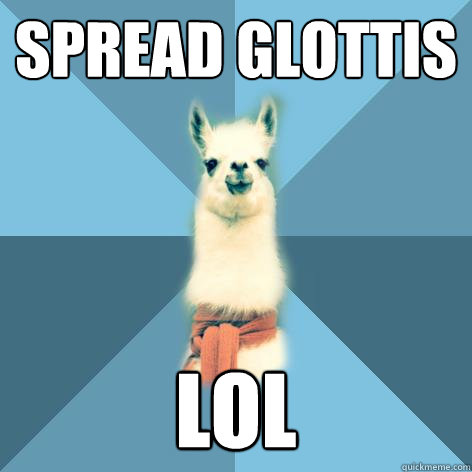 spread glottis lol  Linguist Llama