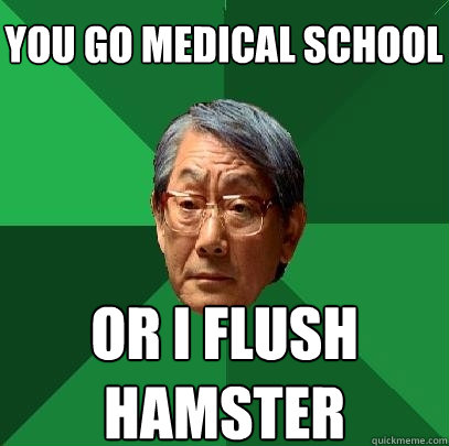 you go medical school or i flush hamster  High Expectations Asian Father