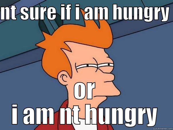 NT SURE IF I AM HUNGRY  OR I AM NT HUNGRY Futurama Fry