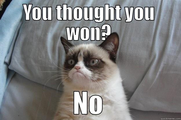 I'll keep coming back - YOU THOUGHT YOU WON? NO Grumpy Cat