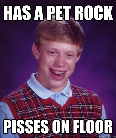 Has a Pet rock pisses on floor  Bad Luck Brian