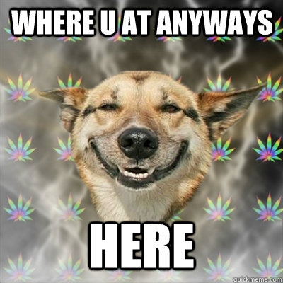 Where u at anyways Here  Stoner Dog