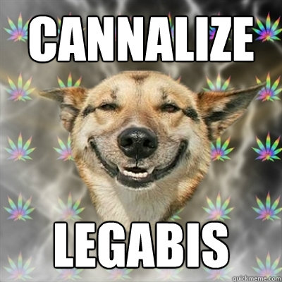 Cannalize Legabis  Stoner Dog