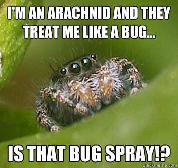 I'm an arachnid and they treat me like a bug... Is that bug spray!?  Misunderstood Spider