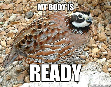 My body is Ready - My body is Ready  Sexually Frustrated Quail