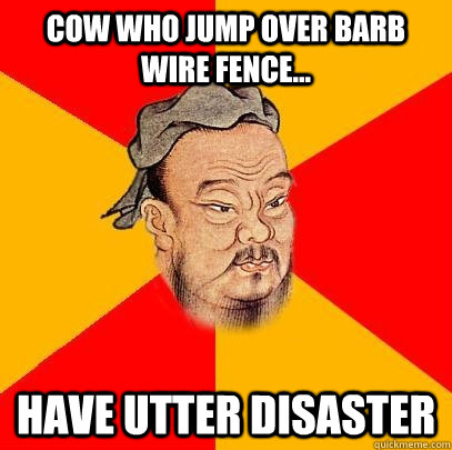 Cow who jump over barb wire fence... have utter disaster  Confucius says