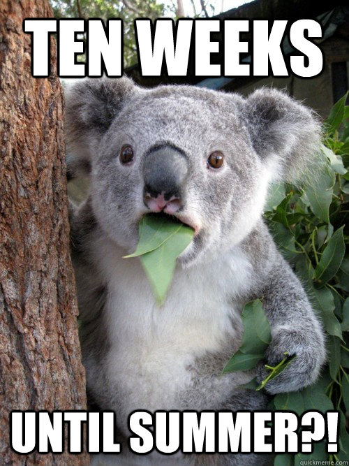 ten weeks until summer?!  Surprised Koala