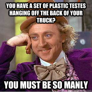 you have a set of plastic testes hanging off the back of your truck? You must be so manly  Condescending Wonka