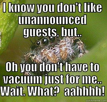 I KNOW YOU DON'T LIKE UNANNOUNCED GUESTS, BUT.. OH YOU DON'T HAVE TO VACUUM JUST FOR ME.. WAIT. WHAT?  AAHHHH! Misunderstood Spider