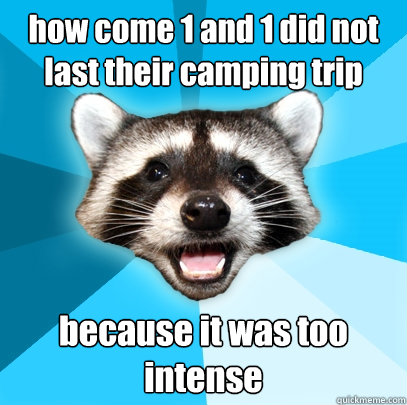 how come 1 and 1 did not last their camping trip because it was too intense - how come 1 and 1 did not last their camping trip because it was too intense  Lame Pun Coon