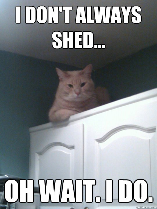 I don't always shed... Oh wait. i do.  The Most Interesting Cat in the World