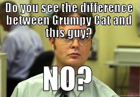 DO YOU SEE THE DIFFERENCE BETWEEN GRUMPY CAT AND THIS GUY? NO? Schrute