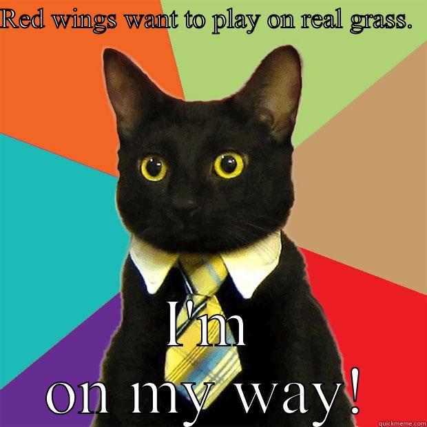 RED WINGS WANT TO PLAY ON REAL GRASS.   I'M ON MY WAY! Business Cat