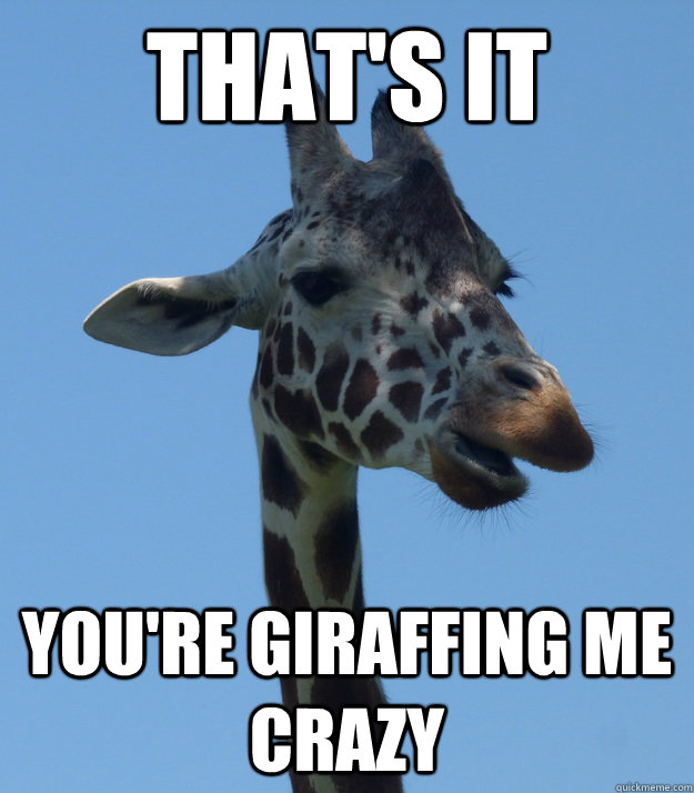 that's it you're giraffing me crazy  crazy for animals giraffe