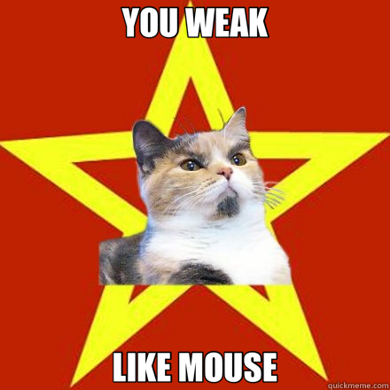 YOU WEAK LIKE MOUSE  Lenin Cat