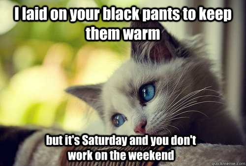 I laid on your black pants to keep them warm but it's Saturday and you don't work on the weekend  First World Problems Cat