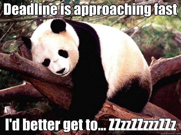 Deadline is approaching fast I'd better get to... ZZzzZZzzzZZz  Procrastination Panda