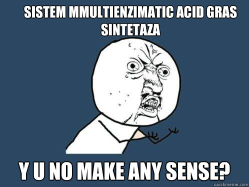 Sistem mmultienzimatic acid gras sintetaza y u no make any sense?  Y U No