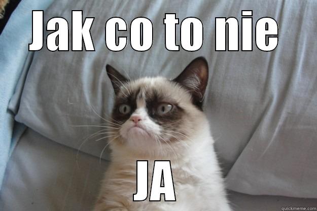 JAK CO TO NIE JA Grumpy Cat