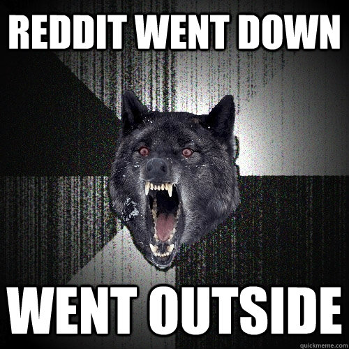 Reddit went down went outside  Insanity Wolf