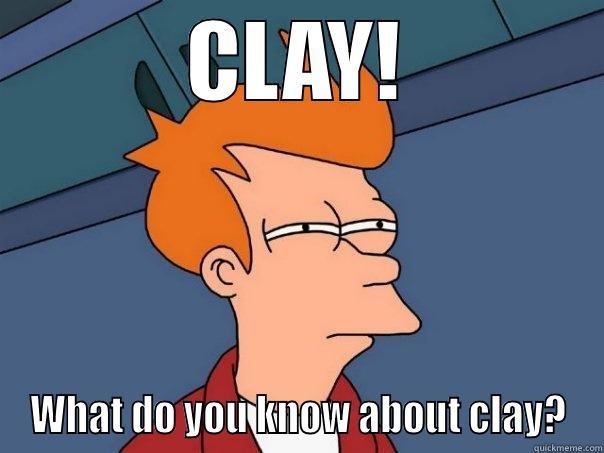 CLAY! WHAT DO YOU KNOW ABOUT CLAY? Futurama Fry