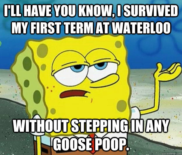 I'll have you know, I survived my first term at Waterloo without stepping in any goose poop.  Tough Spongebob