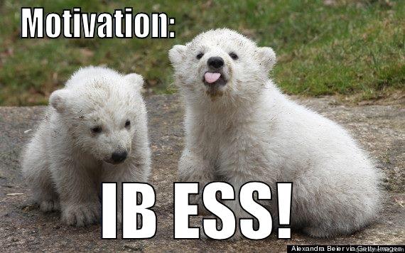 MOTIVATION:                                   IB ESS! Misc