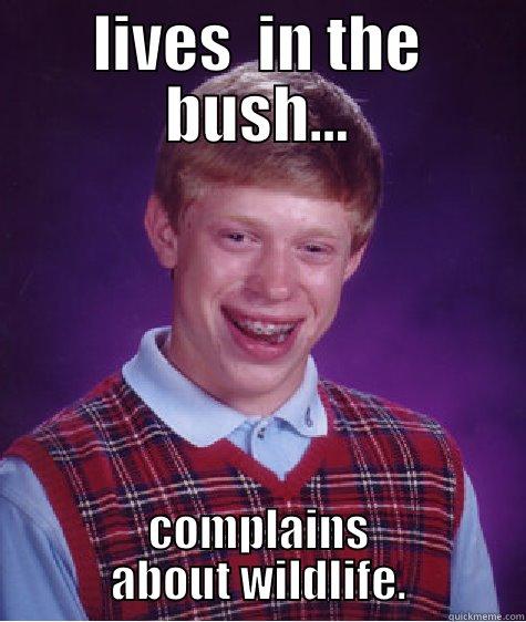 LIVES  IN THE BUSH... COMPLAINS ABOUT WILDLIFE. Bad Luck Brian