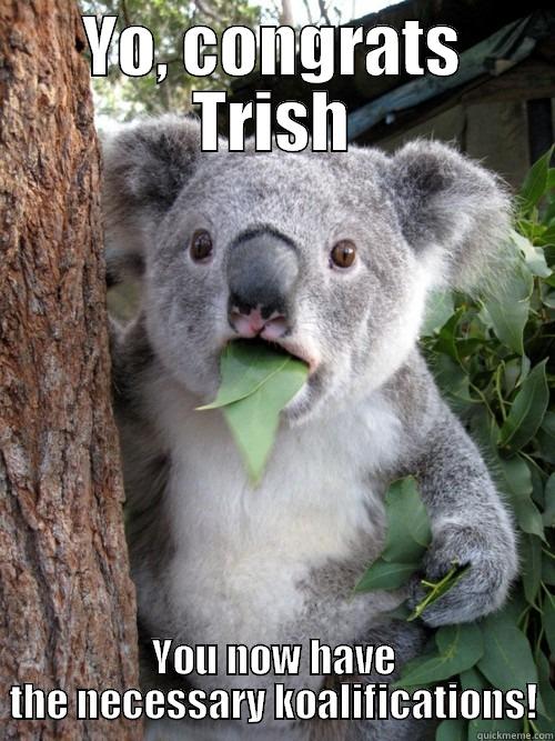 YO, CONGRATS TRISH YOU NOW HAVE THE NECESSARY KOALIFICATIONS! koala bear