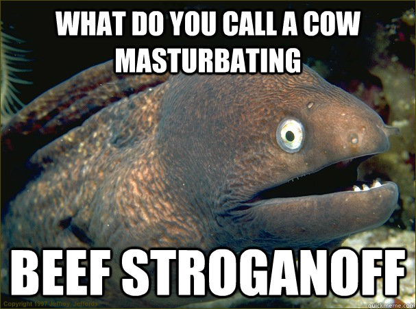 what do you call a cow masturbating beef stroganoff - what do you call a cow masturbating beef stroganoff  Bad Joke Eel