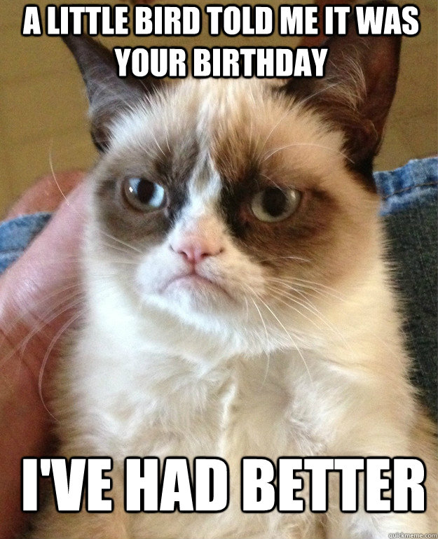 A Little Bird told me it was your birthday I've had better  Grumpy Cat