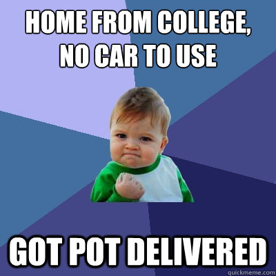 Home from college, no car to use Got pot delivered  Success Kid