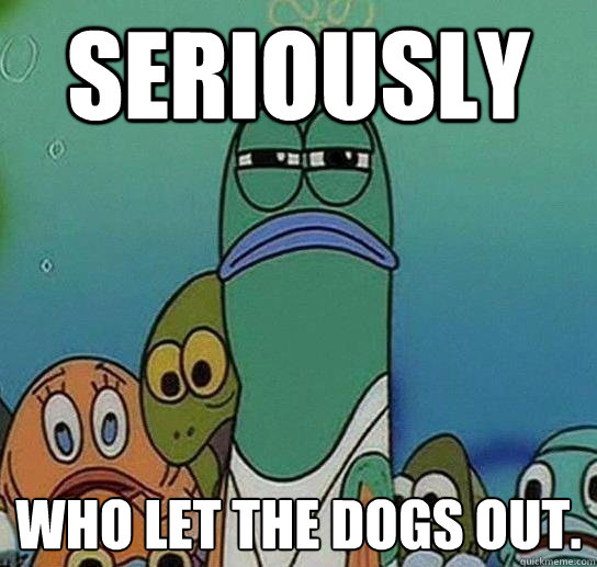 SERIOUSLY who let the dogs out.   Serious fish SpongeBob