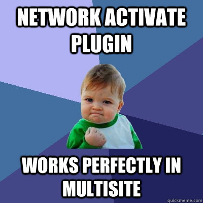 Network Activate plugin Works perfectly in Multisite  Success Kid