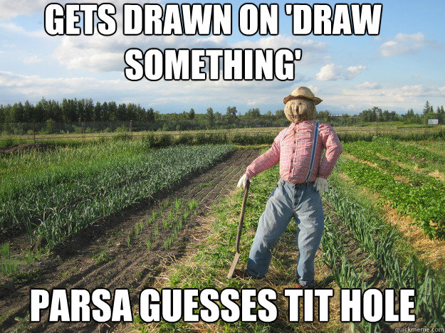 gets drawn on 'draw something' parsa guesses tit hole  Scarecrow