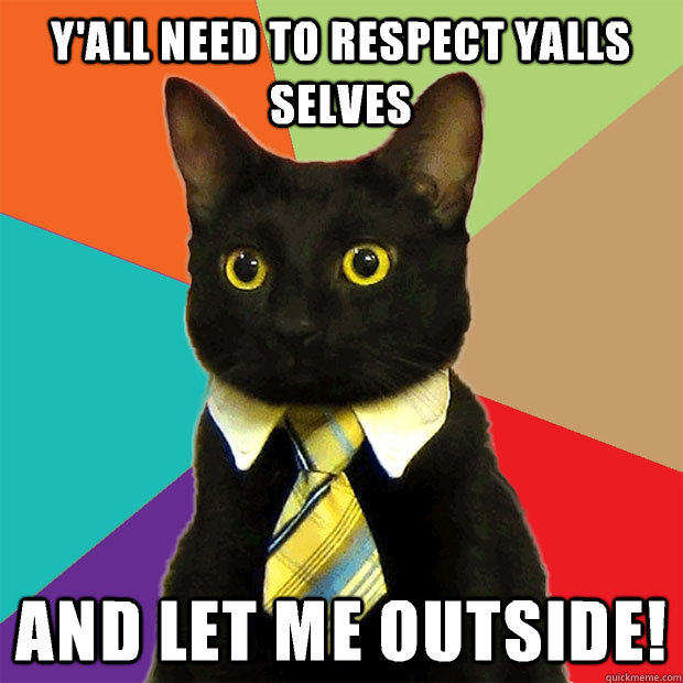 y'all need to respect yalls selves And let me outside!  Business Cat