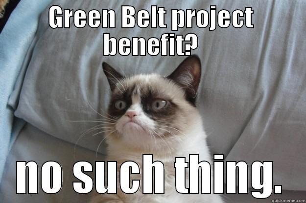 GREEN BELT PROJECT BENEFIT? NO SUCH THING. Grumpy Cat