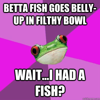 betta fish goes belly-up in filthy bowl wait...i had a fish?  Foul Bachelorette Frog