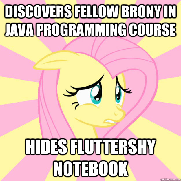 Discovers fellow Brony in Java Programming course Hides Fluttershy notebook  Socially awkward brony