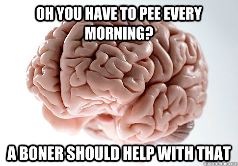 Oh you have to pee every morning? A boner should help with that  Scumbag Brain