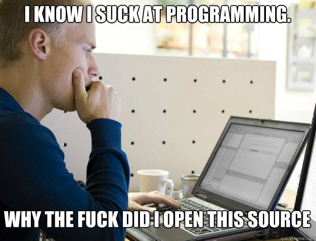 I know I suck at programming. 
 Why the fuck did I open this source code?  Programmer