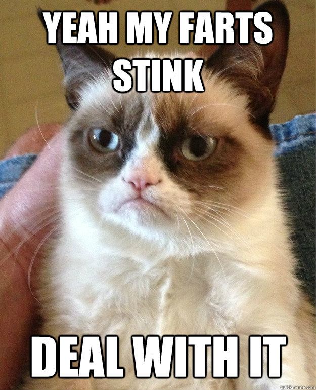 Yeah my farts stink Deal with it  Grumpy Cat