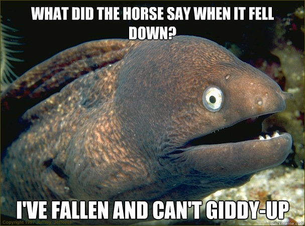 What did the horse say when it fell down? I've fallen and can't giddy-up - What did the horse say when it fell down? I've fallen and can't giddy-up  Bad Joke Eel