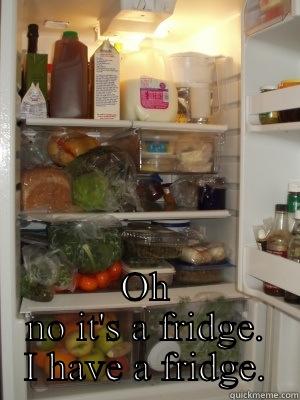  OH NO IT'S A FRIDGE. I HAVE A FRIDGE. Misc