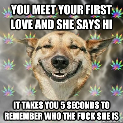 You meet your first love and she says hi It takes you 5 seconds to remember who the fuck she is  Stoner Dog