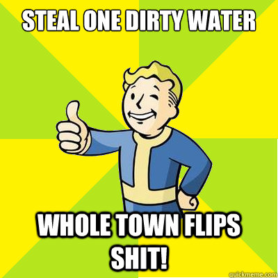 Steal One Dirty water Whole town flips shit!  Fallout new vegas