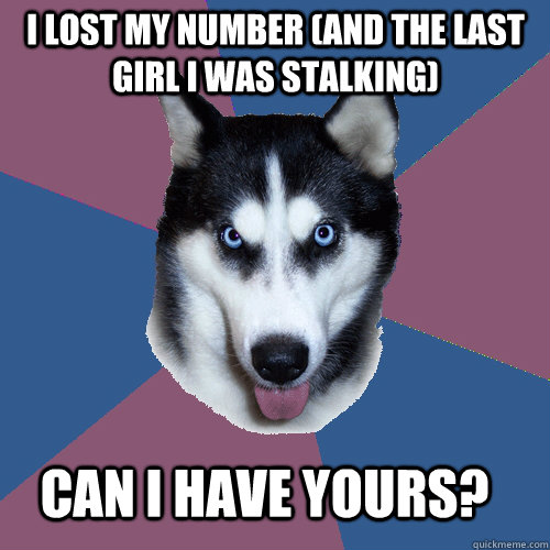 I lost my number (and the last girl I was stalking) Can I have yours? - I lost my number (and the last girl I was stalking) Can I have yours?  Creeper Canine